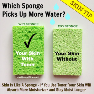 Sponge Comparison Hydration Tip 300px