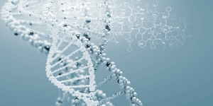DNA Damage in Skin Cells Causes Aging