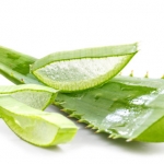 Aloe Anti-Inflammatory Ingredient in Skin Care Products