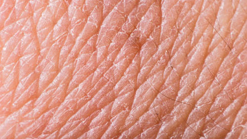 closeup view of skin